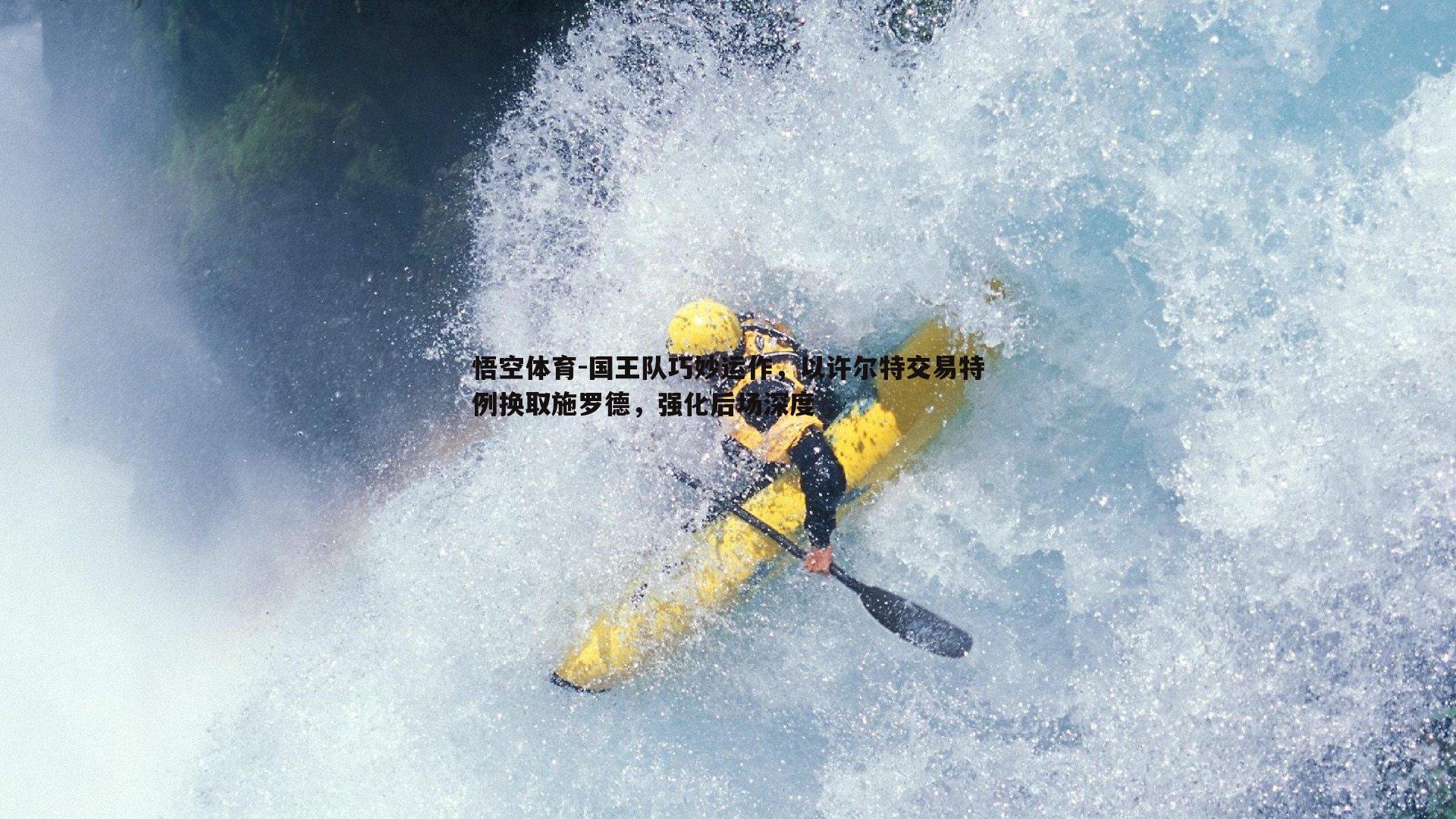 国王队巧妙运作,以许尔特交易特例换取施罗德,强化后场深度