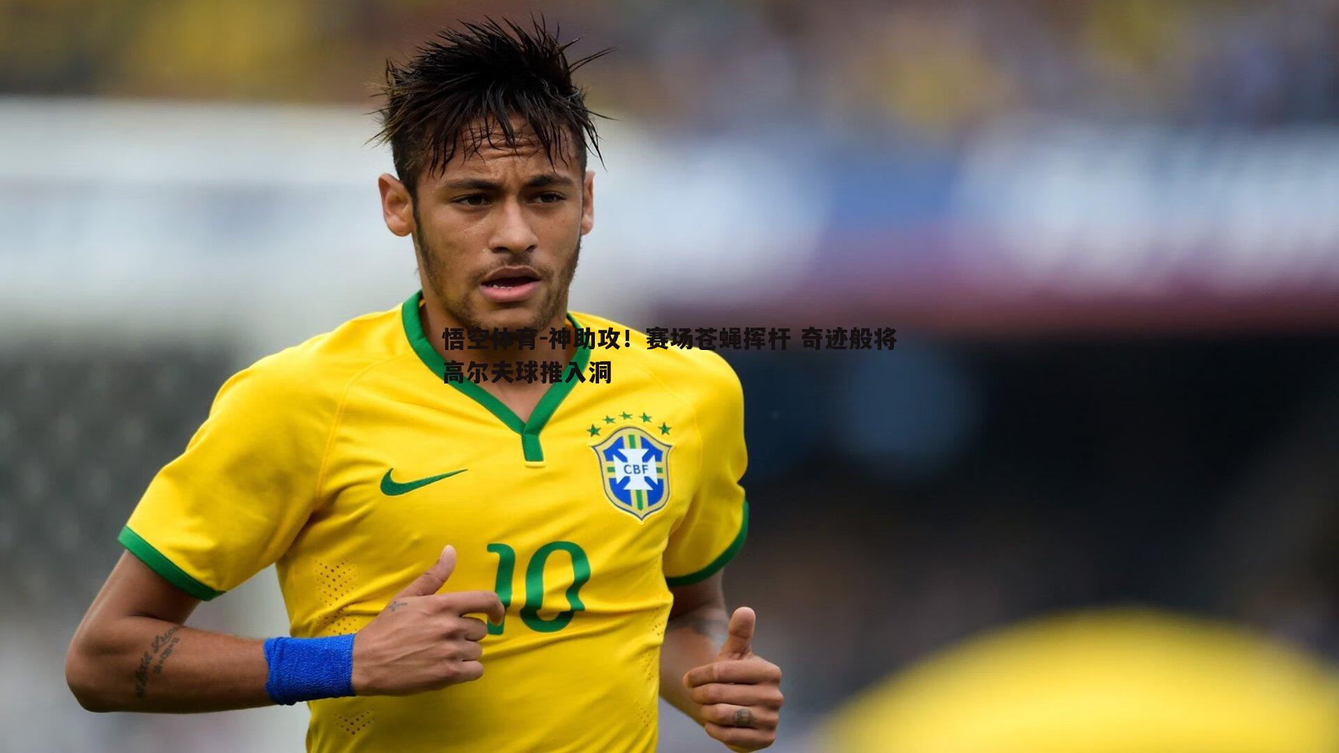 神助攻!赛场苍蝇挥杆 奇迹般将高尔夫球推入洞